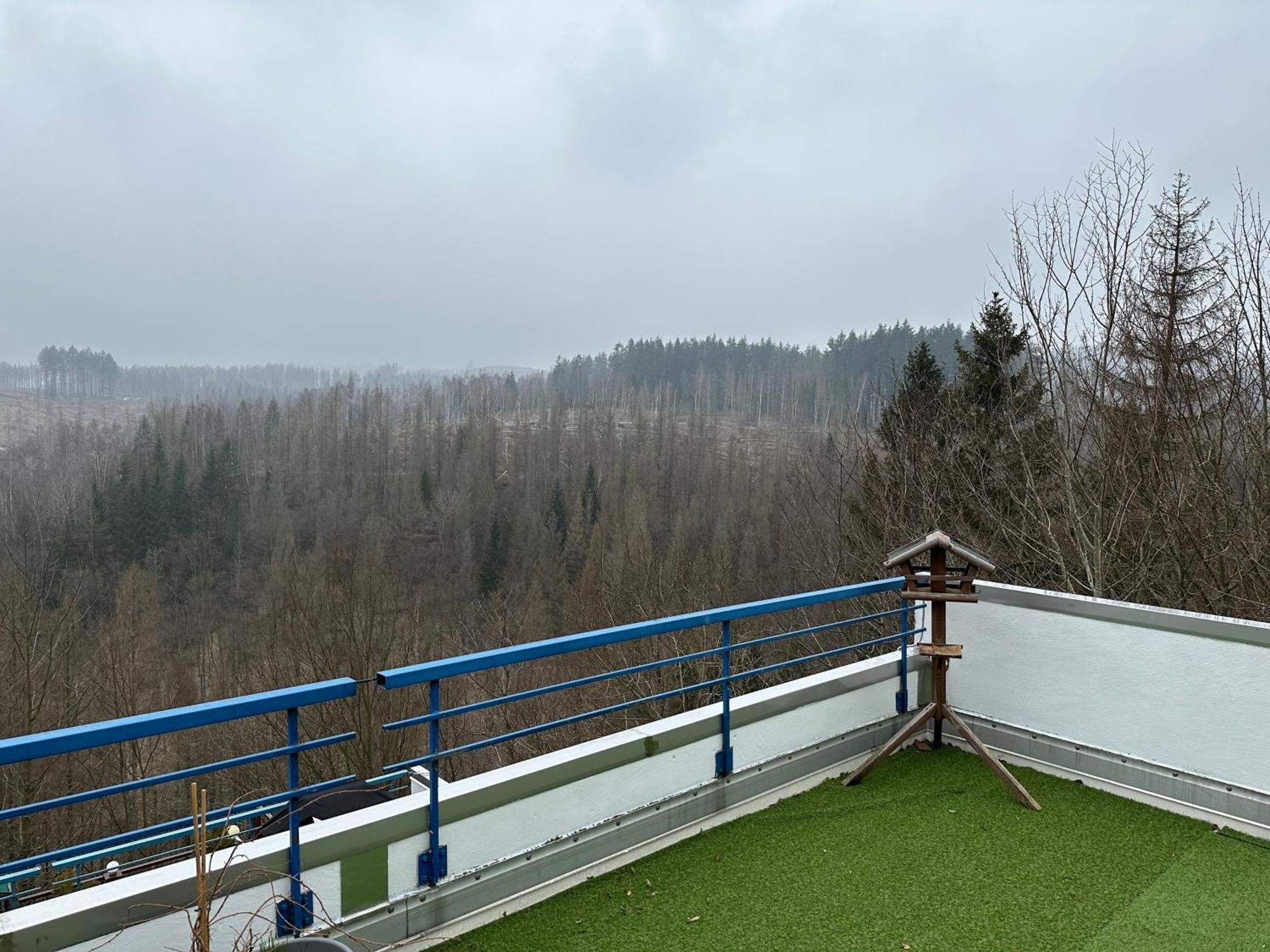 Harz #4, Pool, Sauna, Wlan * Braunlage