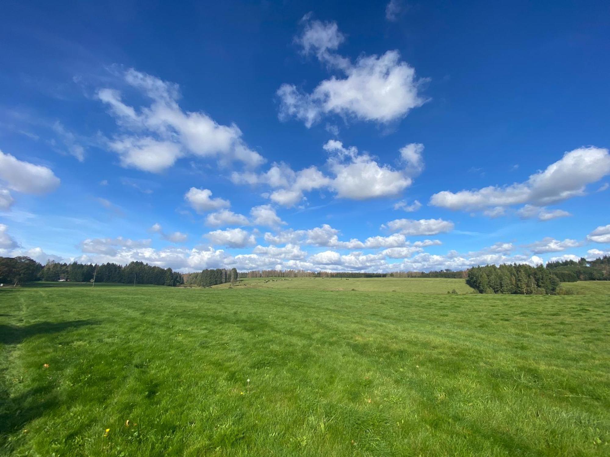 Harz #4, Pool, Sauna, Wlan Appartement Braunlage